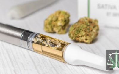 Cannabis Licensing in Michigan: A Comprehensive Guide for Businesses