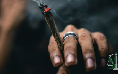 Navigate the Legal Framework for Cannabis Lounges in Michigan