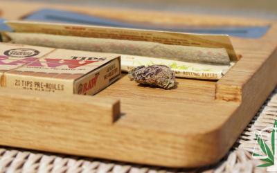 Welcoming Weed: The Evolution of Bud and Breakfast in Michigan