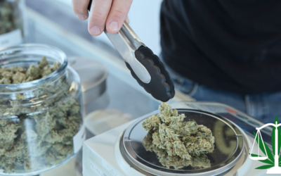 Why Your Dispensary Needs a Cannabis Lawyer: 10 Legal Tips for Cannabis Business Owners