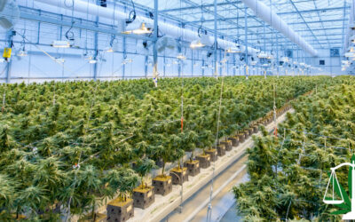 How to Make Big Profits Growing Cannabis in Michigan in 2023