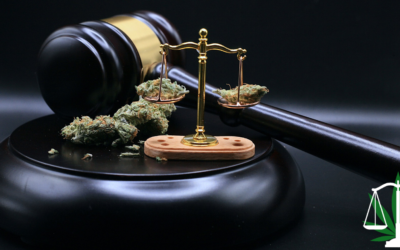 Cannabis and Product Liability: Managing Legal Risks for Manufacturers and Distributors