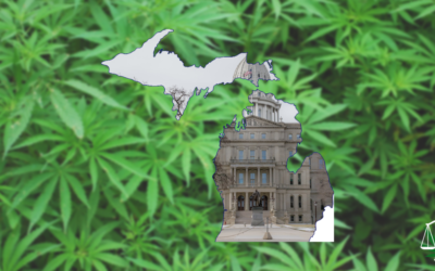 Useful Facts About the Michigan Cannabis Regulatory Agency