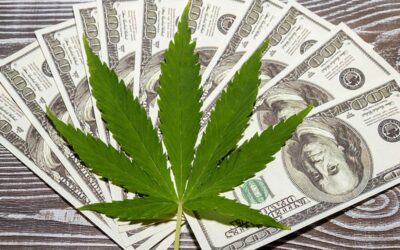 Michigan’s July Marijuana Sales Propel Market Towards $3 Billion Milestone